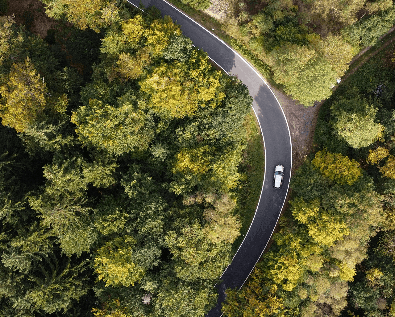 Aerial view of a road through a forest